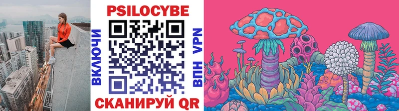 Псилоцибиновые грибы Psilocybine cubensis  гидра ссылка  Чаплыгин 